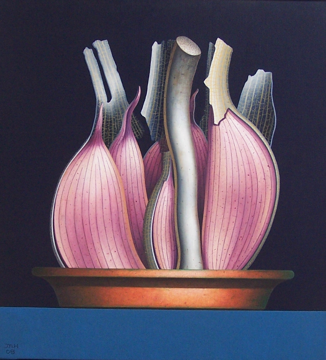 Joop van 't Hoenderdaal knoflook