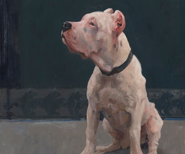 Wijcko  - beschikbaar -  